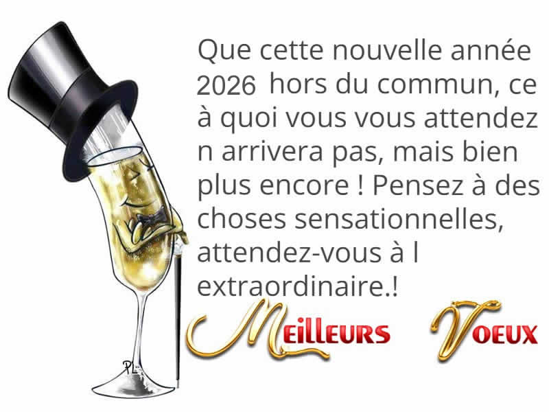 Cartes de vœux droles personnalisées