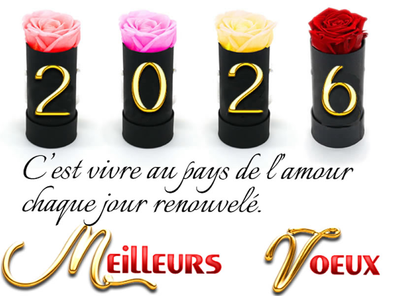 Cartes de voeux personnalisées Amour chaque jour renouvelé