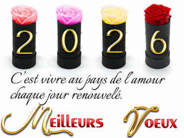 Cartes de voeux virtuelles de bonne année