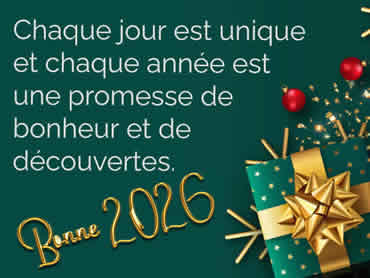 Cartes de voeux Amitie virtuelles de bonne année