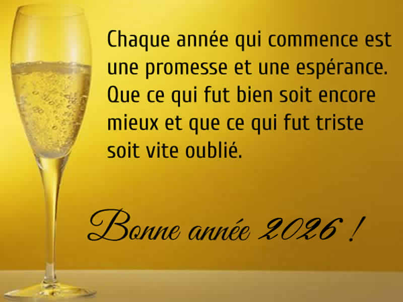 Cartes de voeux entreprises personnalisées Une nouvelle année commence