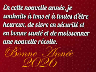 Créez un jeu de cartes personnalisé avec photos