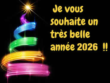 Carte de voeux à personnaliser de bonne année