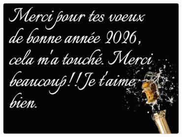 Découvrez nos jolies cartes de vœux personnalisées de fin d'année