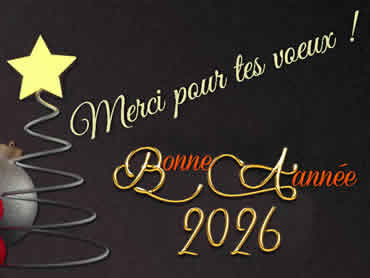 Cartes Merci de voeux virtuelles de fin d'année