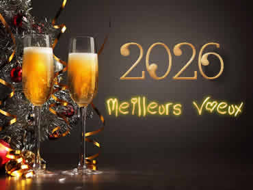 Cartes de voeux virtuelles de bonne année