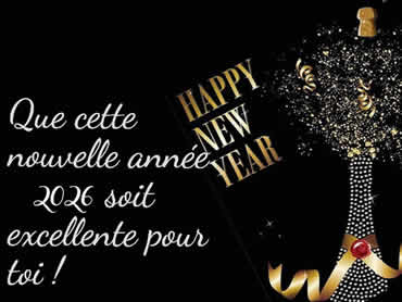 Cartes de voeux Humour virtuelles de bonne année