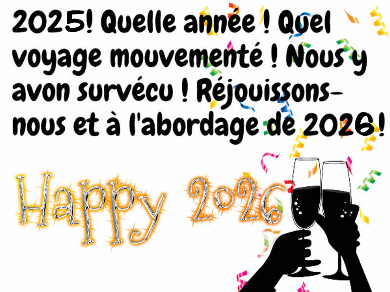 Cartes de voeux humoristique personnalisées Nous y avons survécu