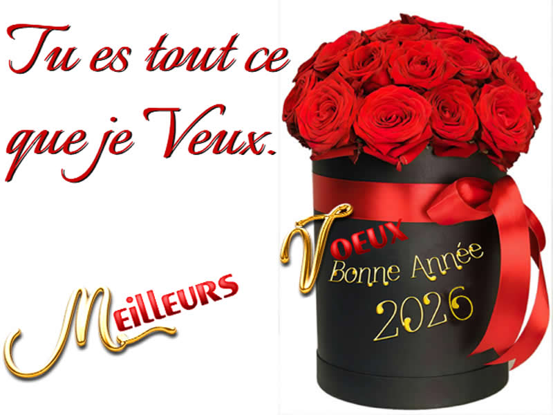 Cartes de voeux d'amour personnalisées Une nouvelle année commence