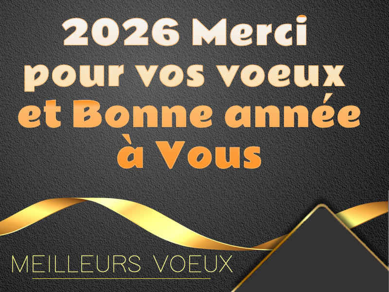 Cartes de remerciements voeux : 2027 Merci pour vos voeux et Bonne année à Vous.
