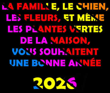 carte voeux de bonheur